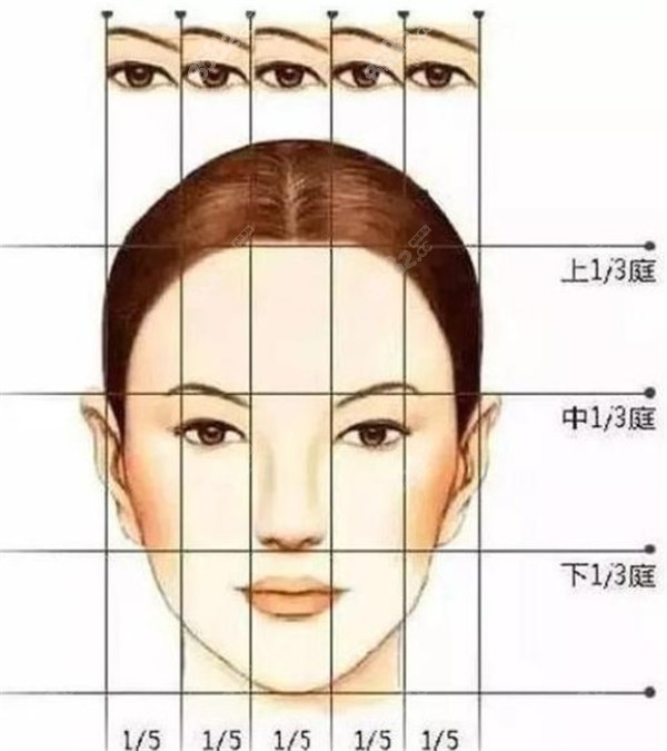 理想而美的眼:需要符合"三庭五眼"的面部比例,双眼皮需要符合个人气质