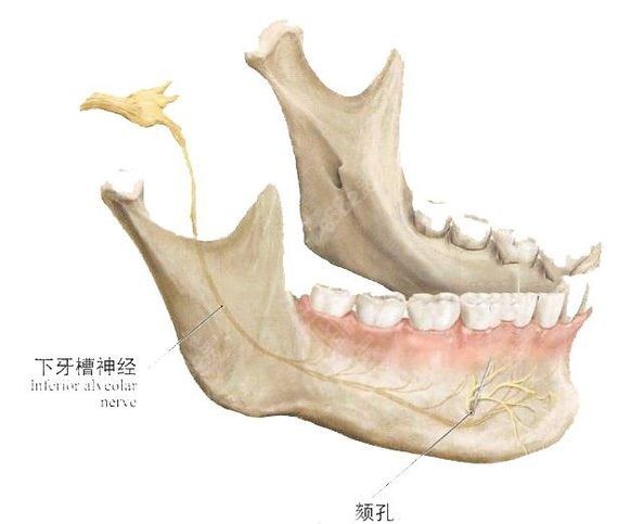 参考郑州磨骨好的医生排名告知去哪家做下颌角整形手术好