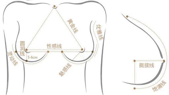 假体隆胸划线设计图片