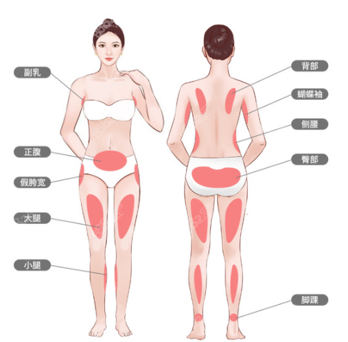 腰部图片女结构图图片